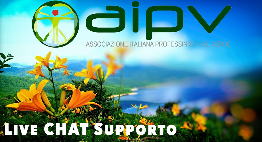 supporto-live-chat-header-sponsor-aipv
