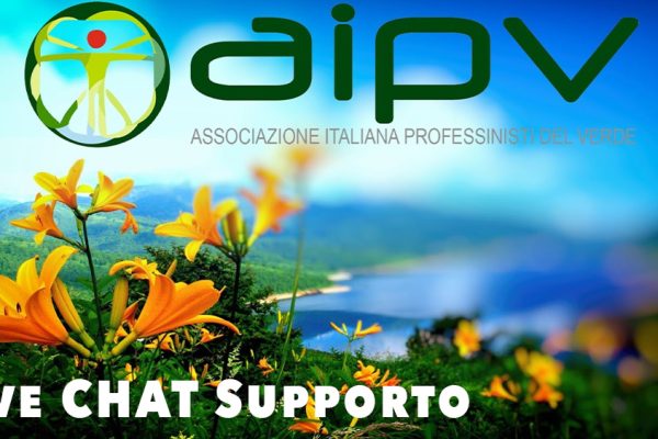 supporto-live-chat-header-sponsor-aipv